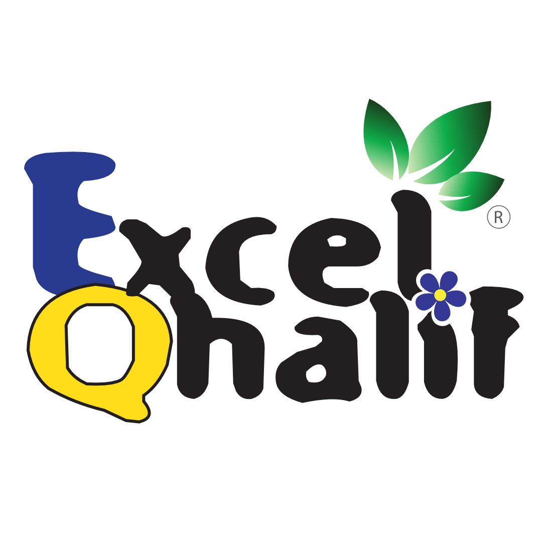 Excel Qhalif Playgroup & Speech Program